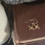 Earrings | North Star